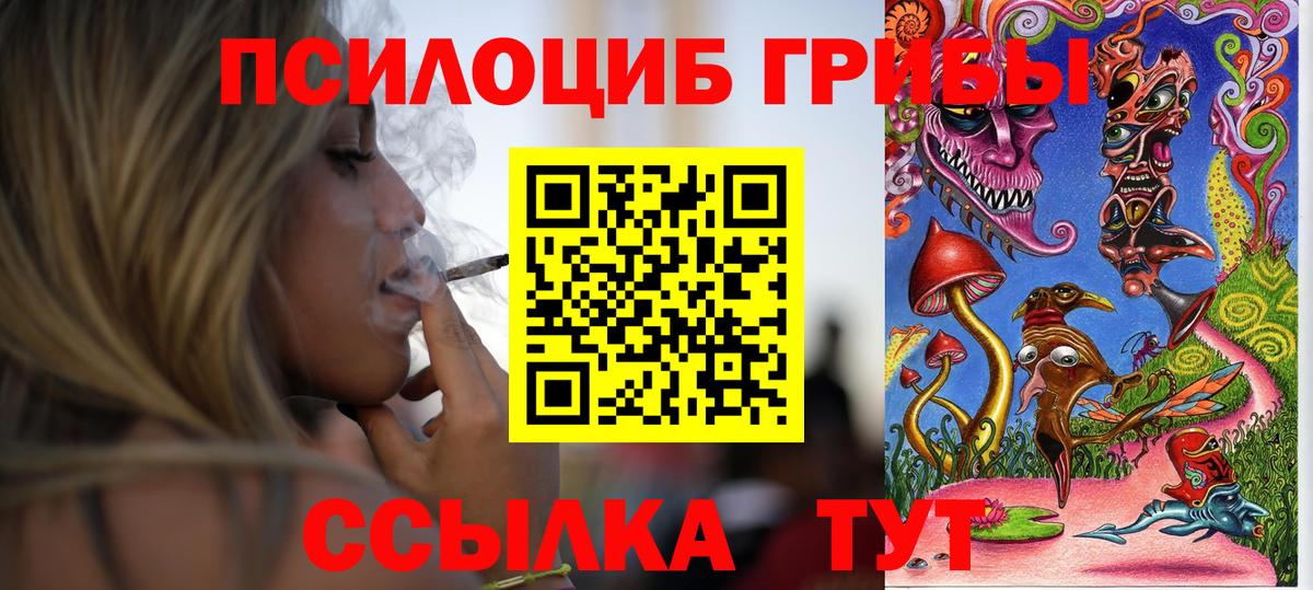Псилоцибиновые грибы ЛСД  Вход с VPN  Галлюциногенные грибы Psilocybine cubensis  Орёл 